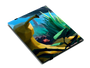 Classeur Legacy